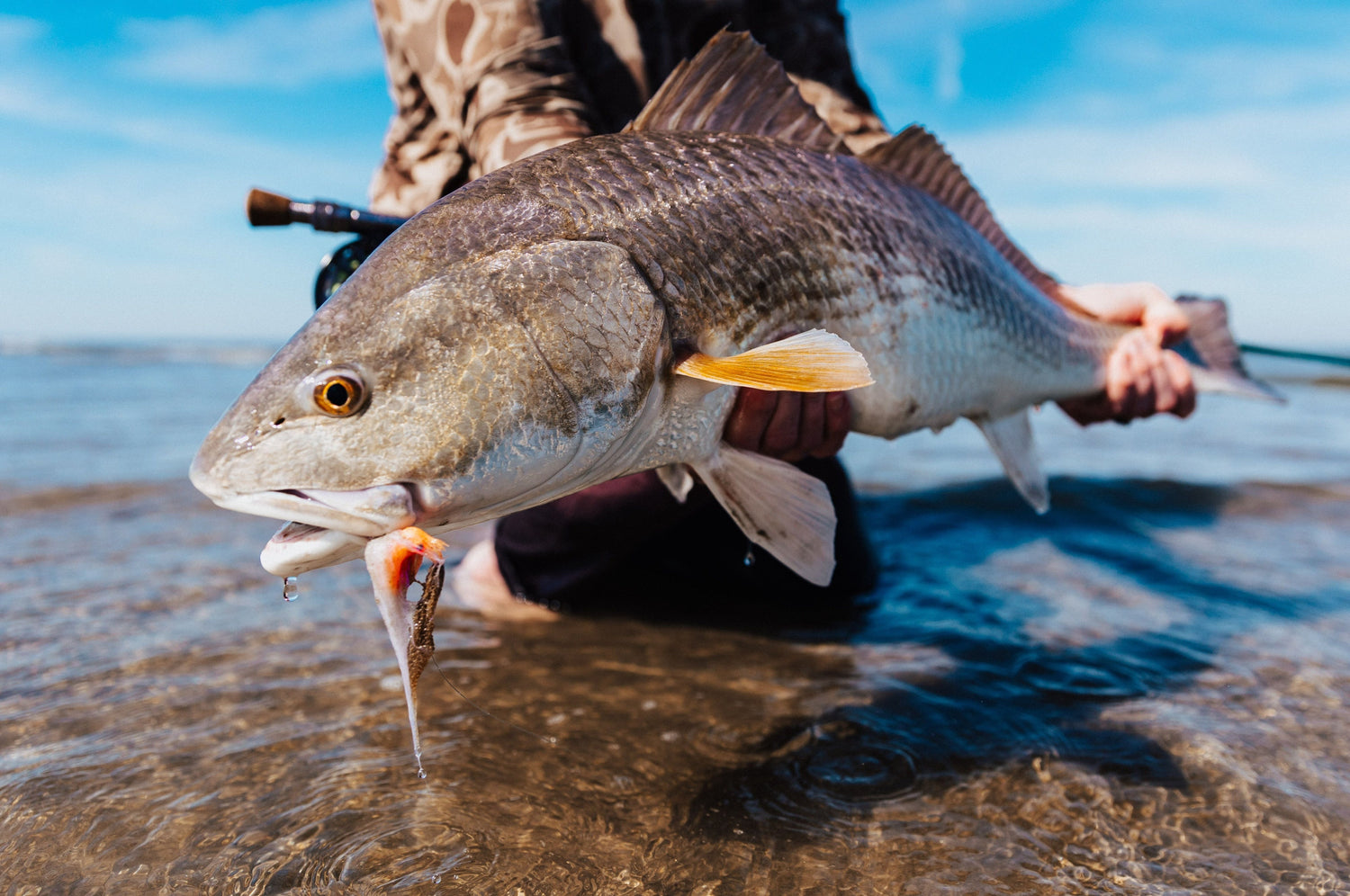 10wt Fly Rods